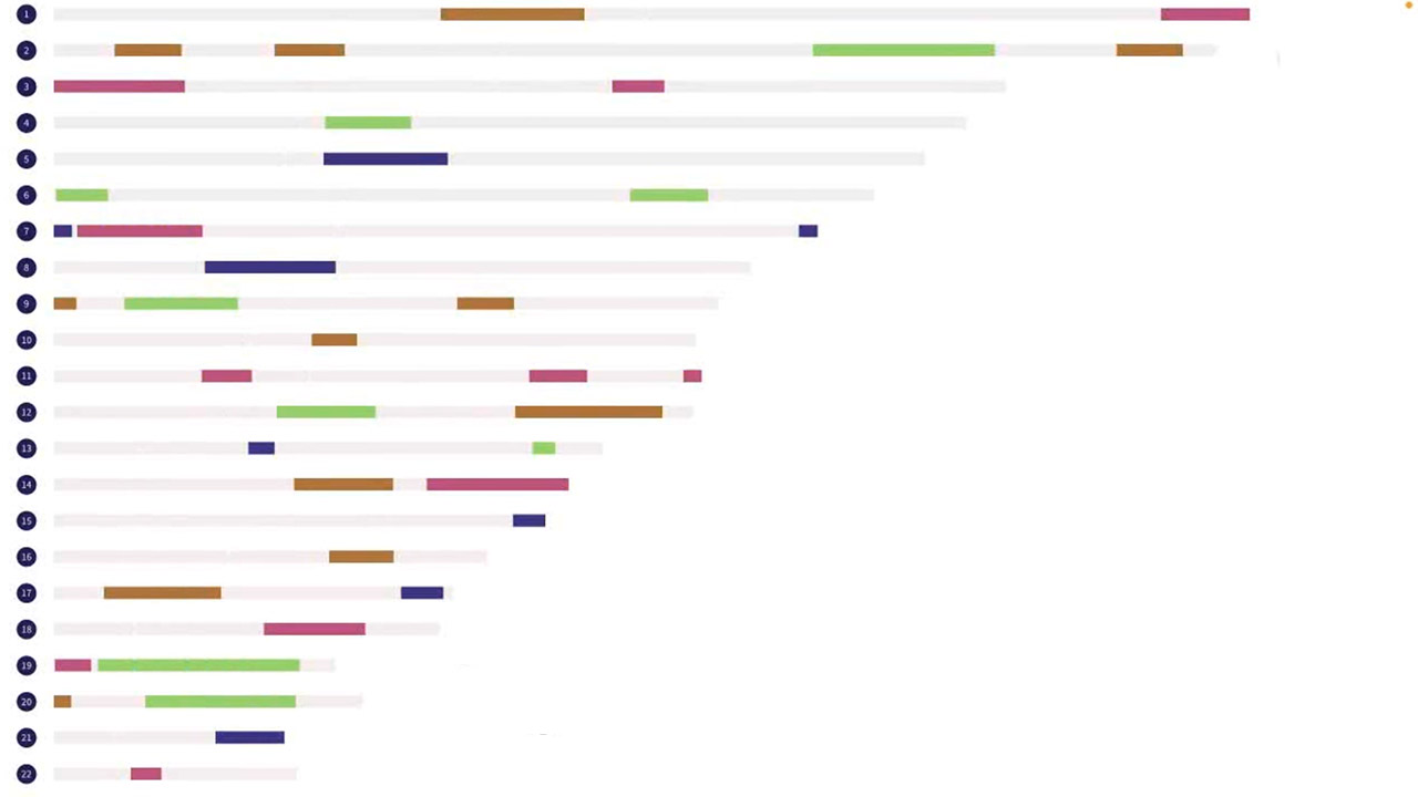 Practical chromosome mapping: gaining insights from segments of DNA
