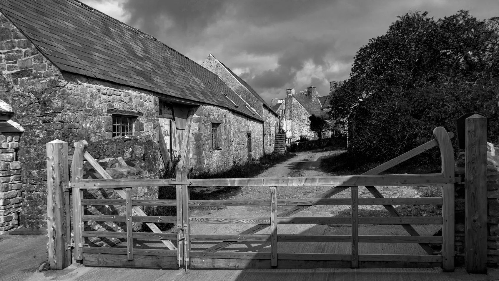 Polled! Finding your Ancestors in New South Wales Colonial Muster and Census Returns