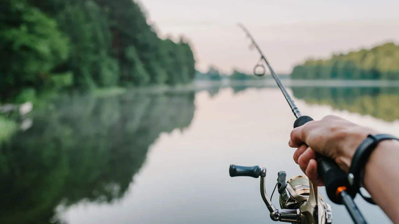 Fishing in Your Match List with MyHeritage DNA Tools