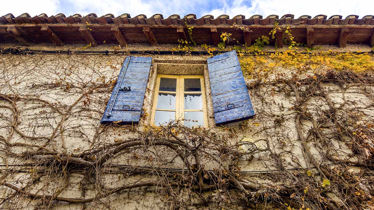 French Emigrants: They Were Not All Huguenots, or Nobles, or from Alsace-Lorraine