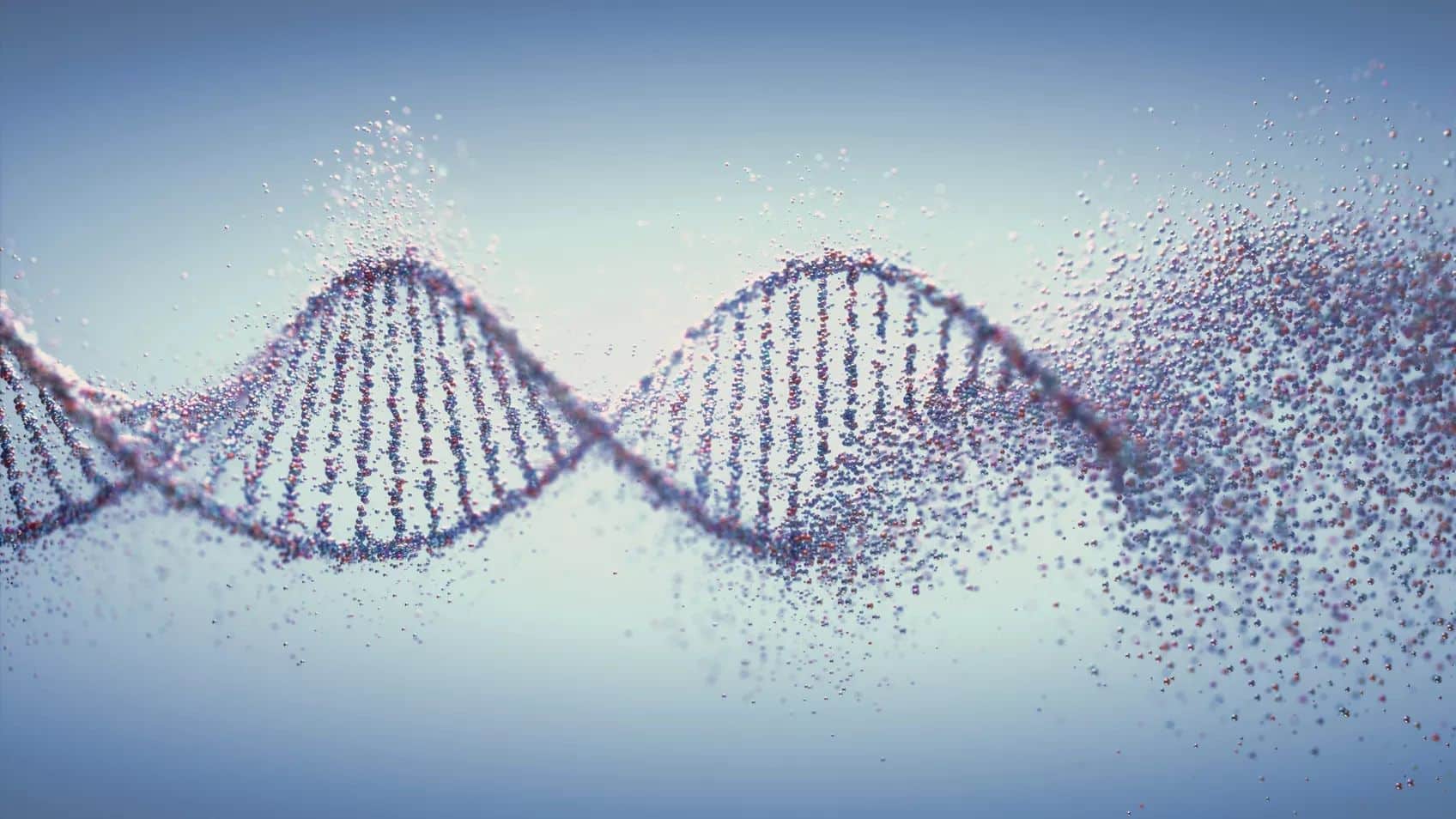 Circles or Triangles? What Shape is Your DNA?