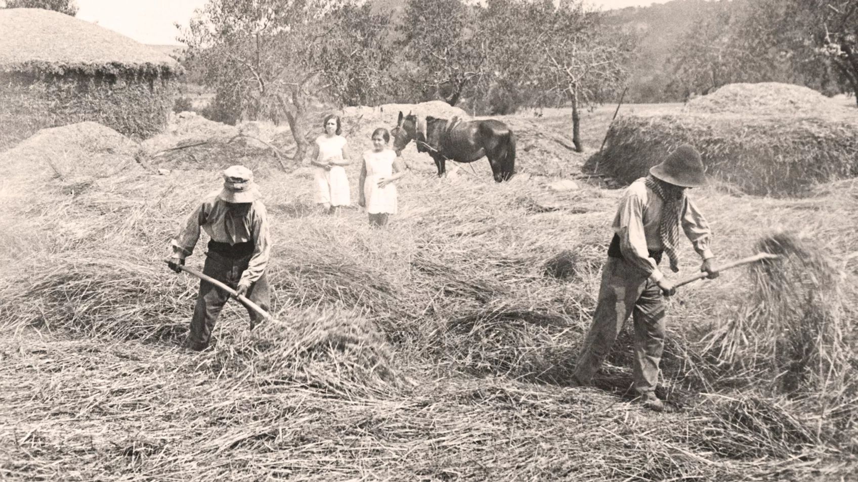 Basics of Land Platting - Part 1