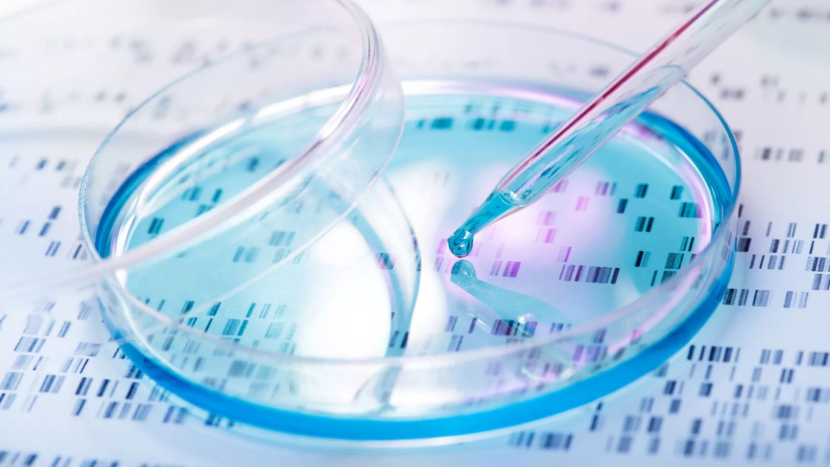 Working with DNA segments on MyHeritage