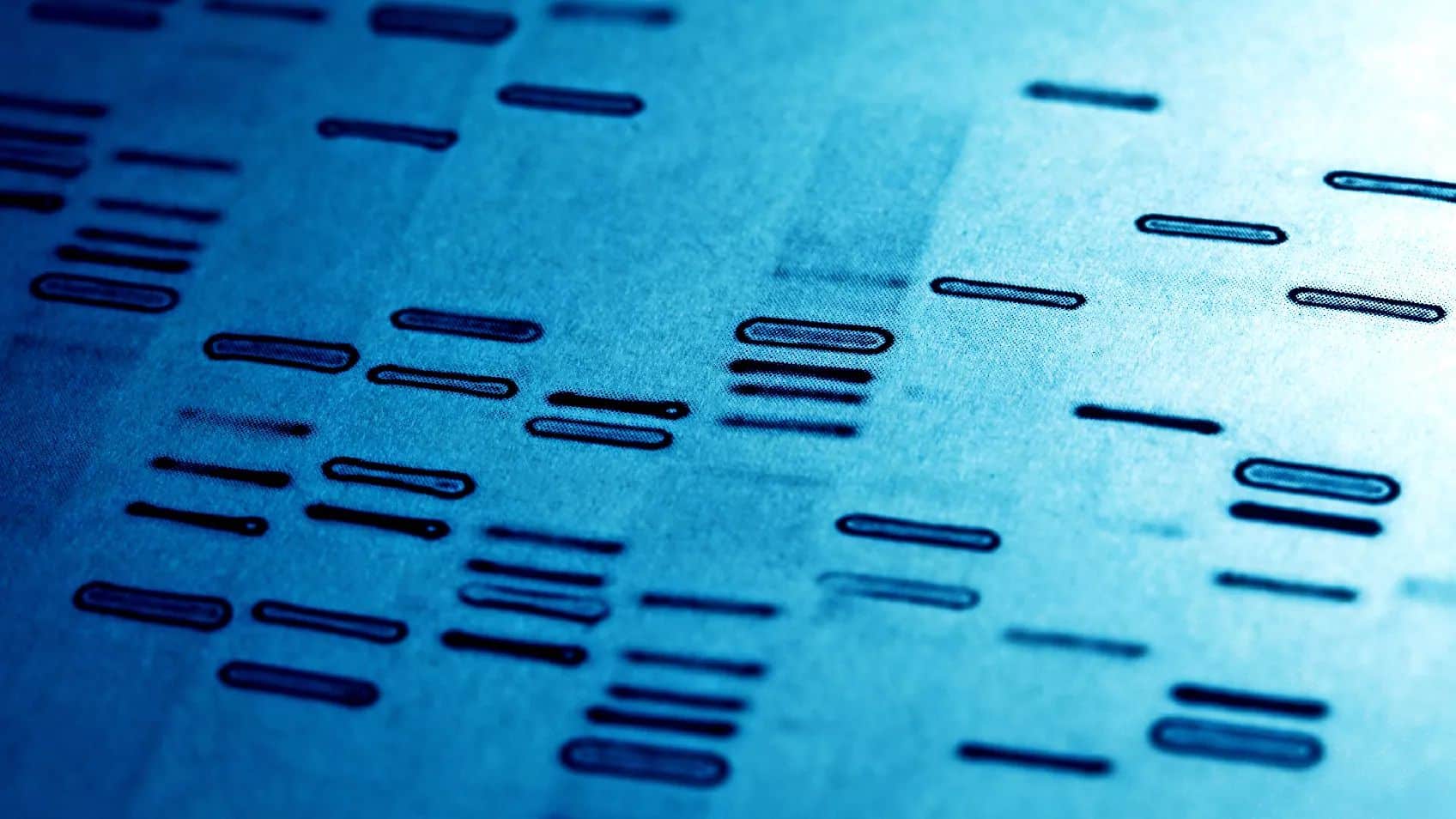 The WHO of Genetic Genealogy