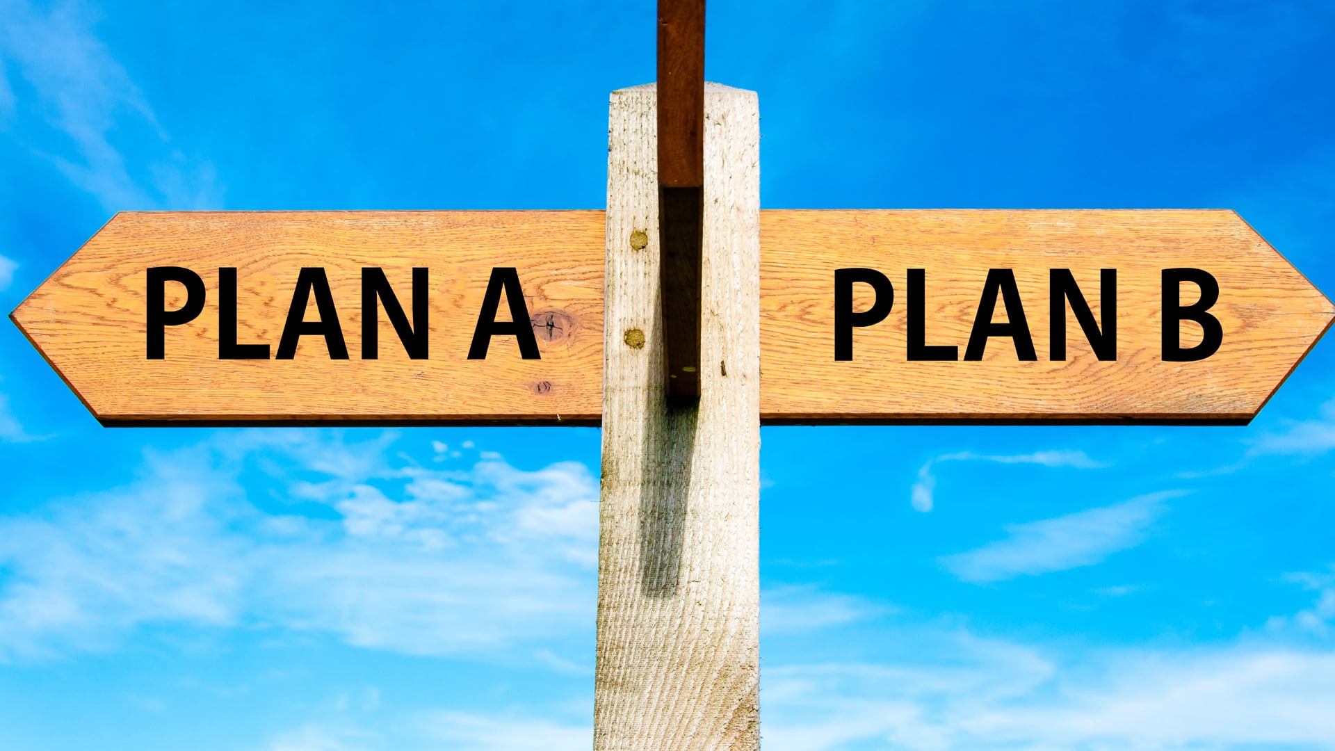 Formulating a DNA Testing Plan