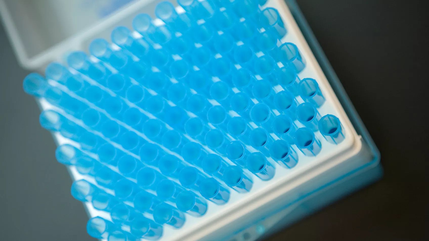 I Received DNA Matches, Now What?