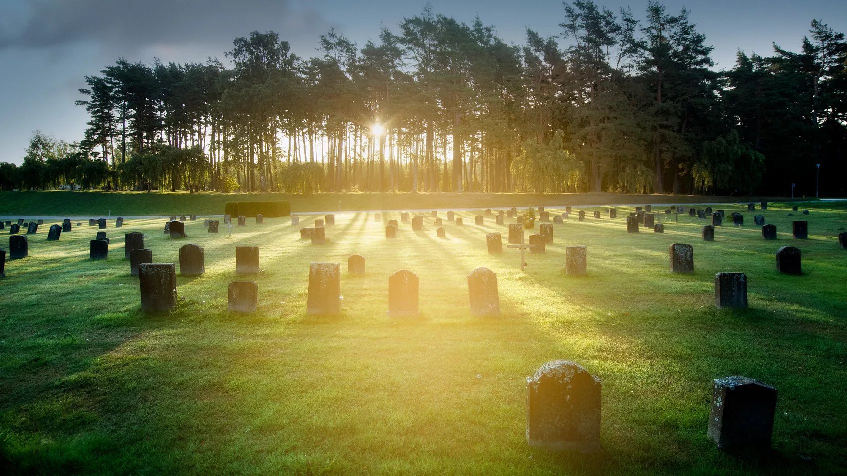 The Fromelles Genealogy Project: Reuniting WW1 Soldiers with their Families