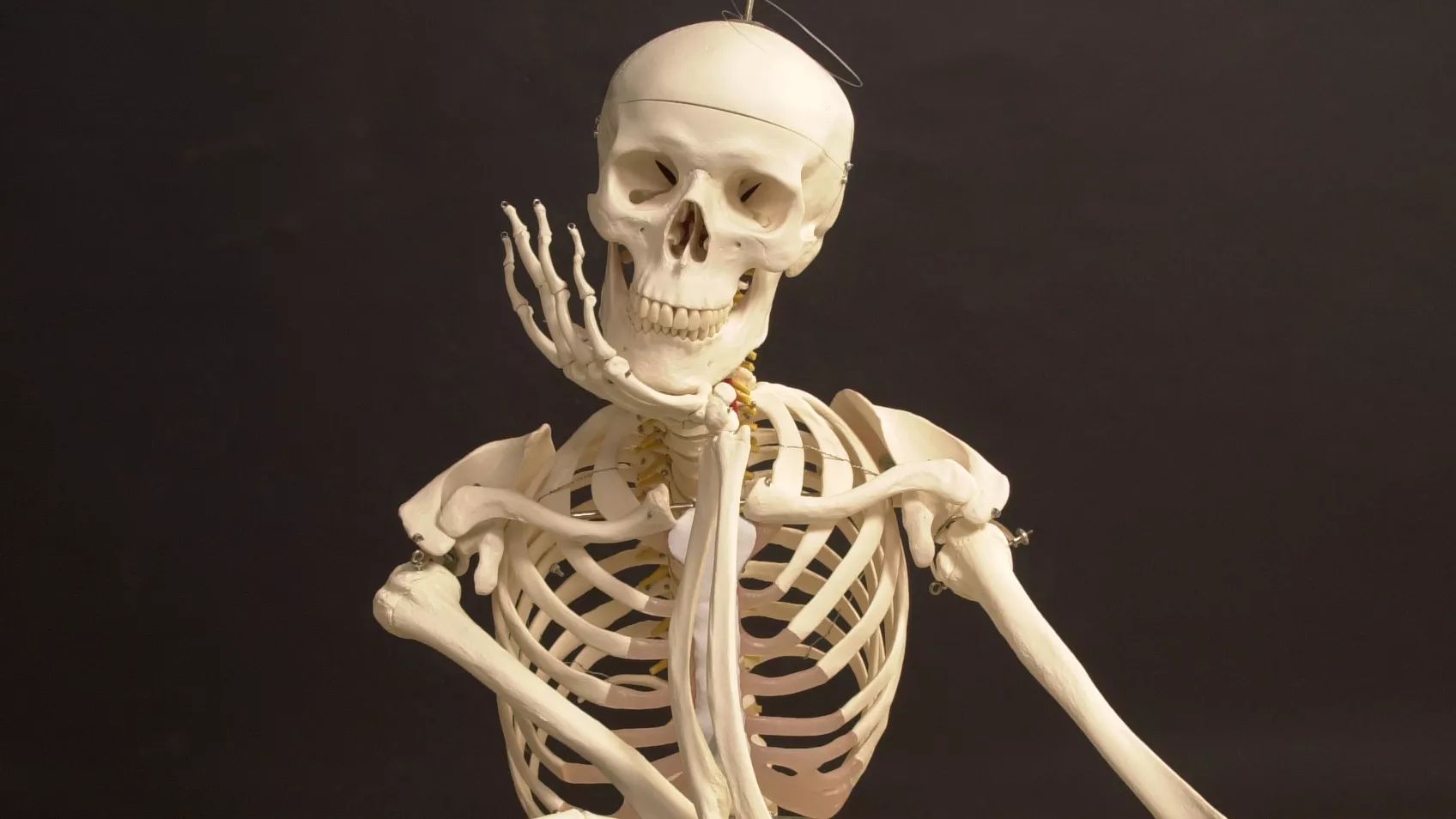 DNA Testing after a Bone Marrow Transplant?