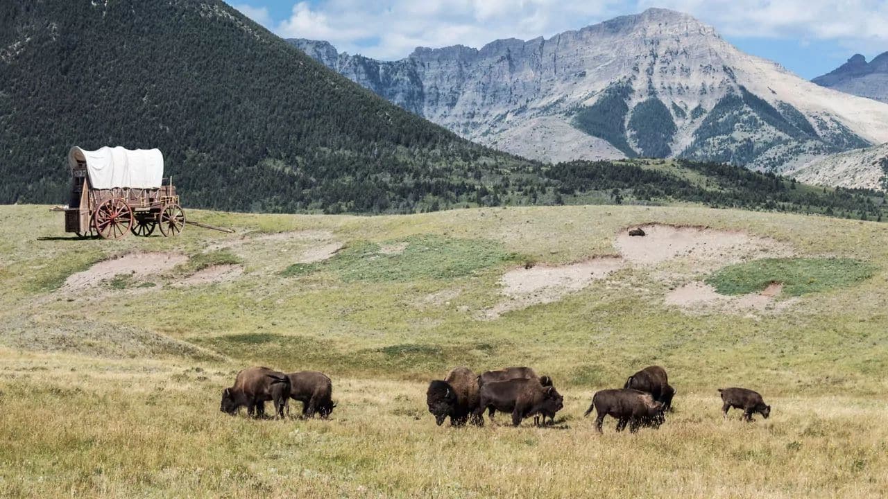 How the West Was Won in Canada