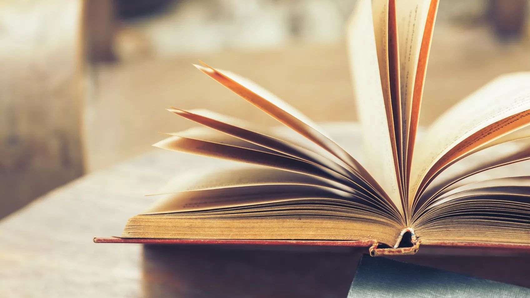 The Stories Behind the Segments