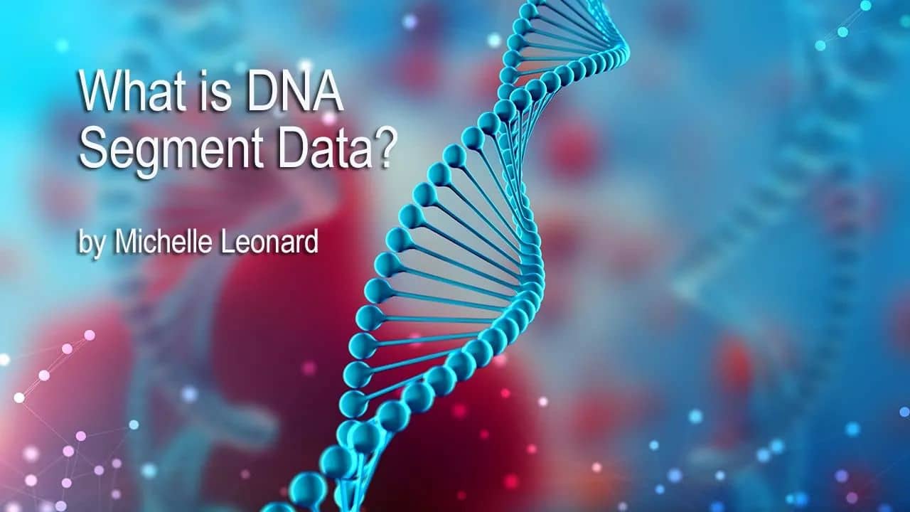 What Is DNA Segment Data?