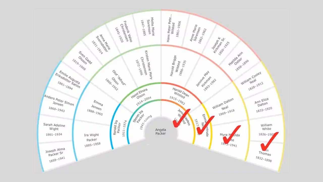 Using DNA Test Results to Confirm a Pedigree
