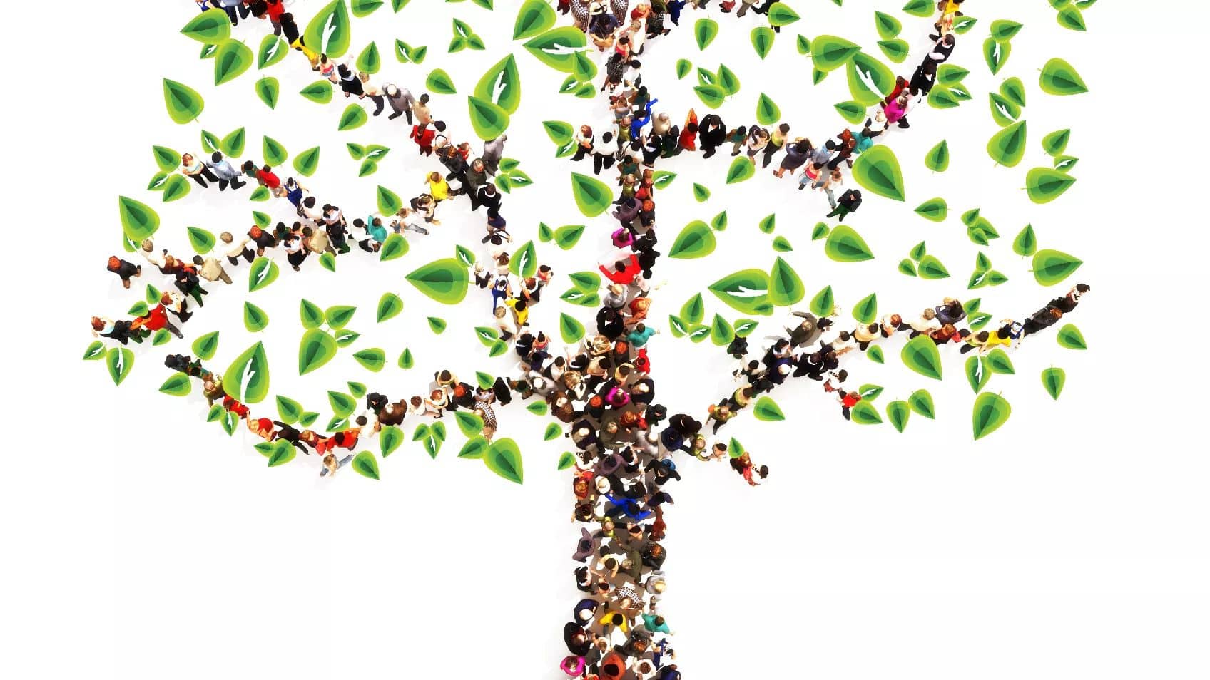 Legacy Family Tree - Virtual User's Group Meeting: Locations