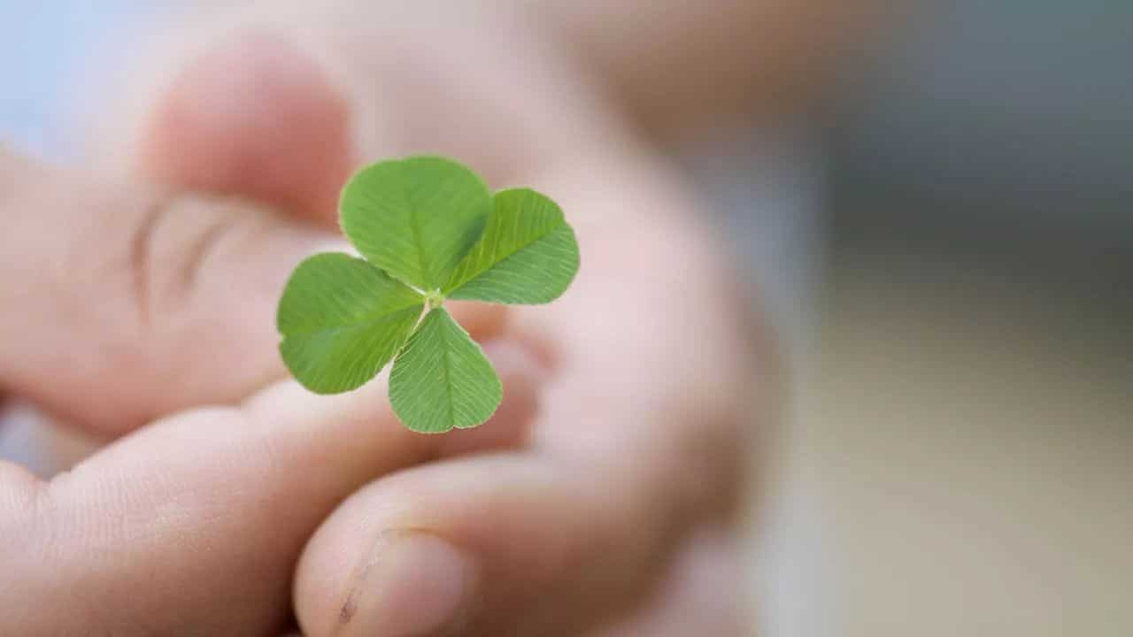 Documents + DNA + Method + a little bit of Luck: Combining Tools to Find Biological Family