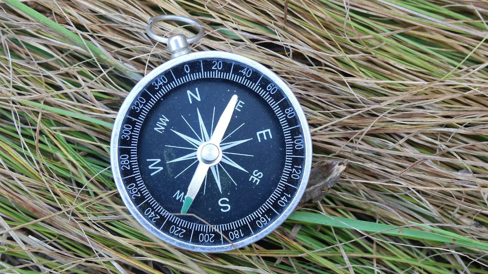 Another Kind of Navigation: GPS for Genealogy