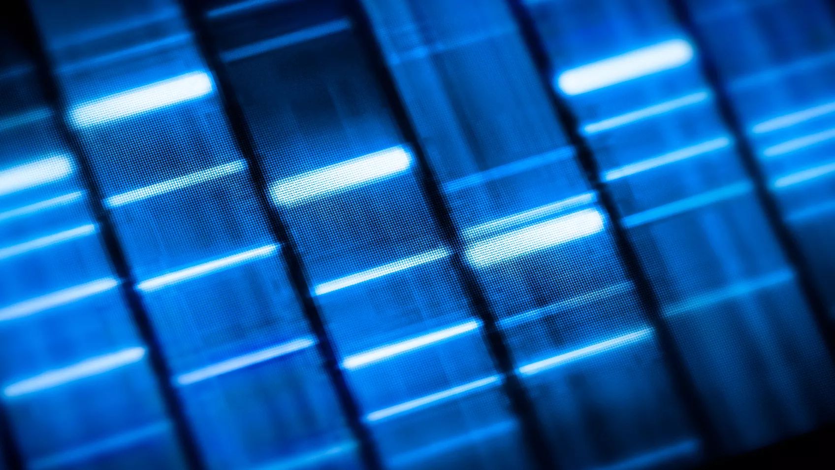 Introducing Y-DNA for autosomal DNA testers