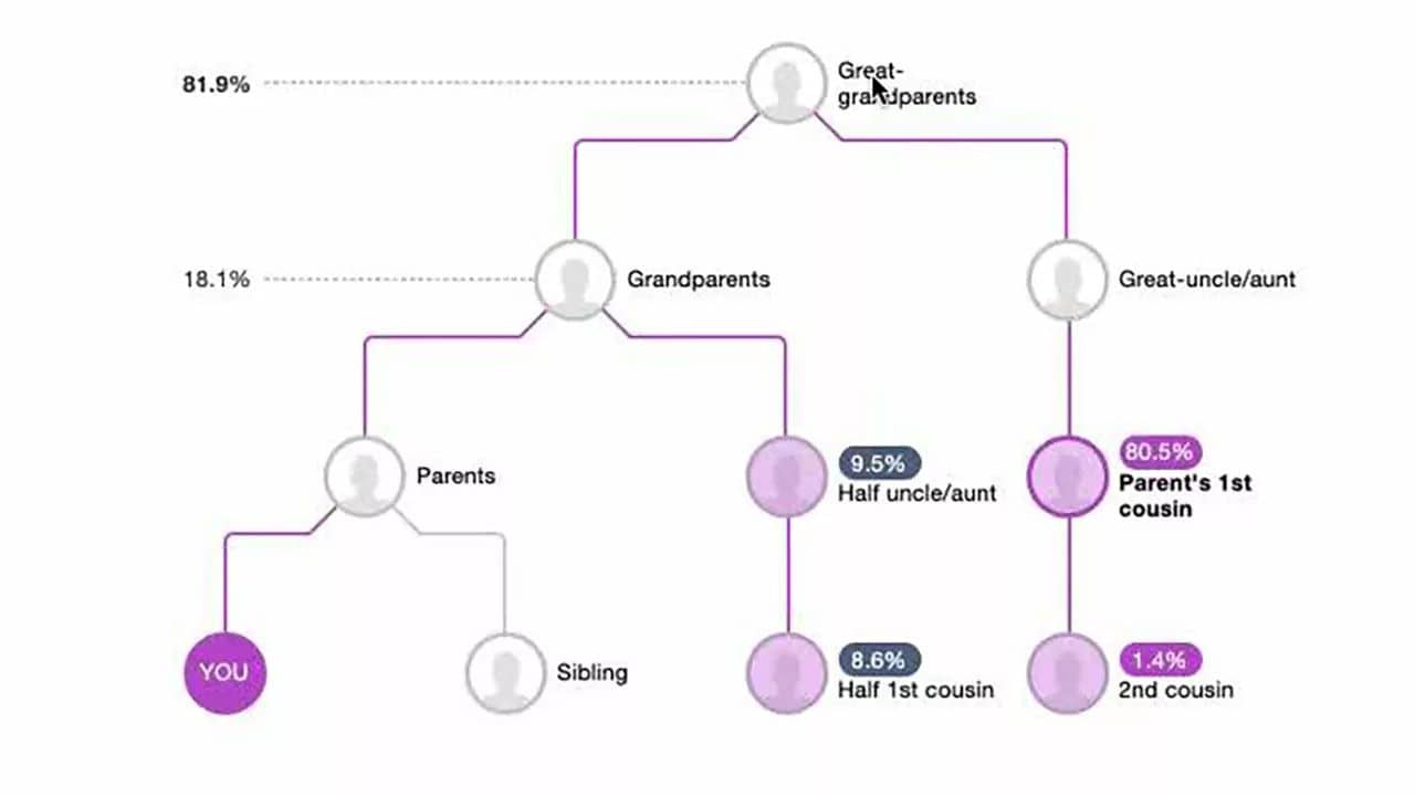 New Developments of MyHeritage DNA