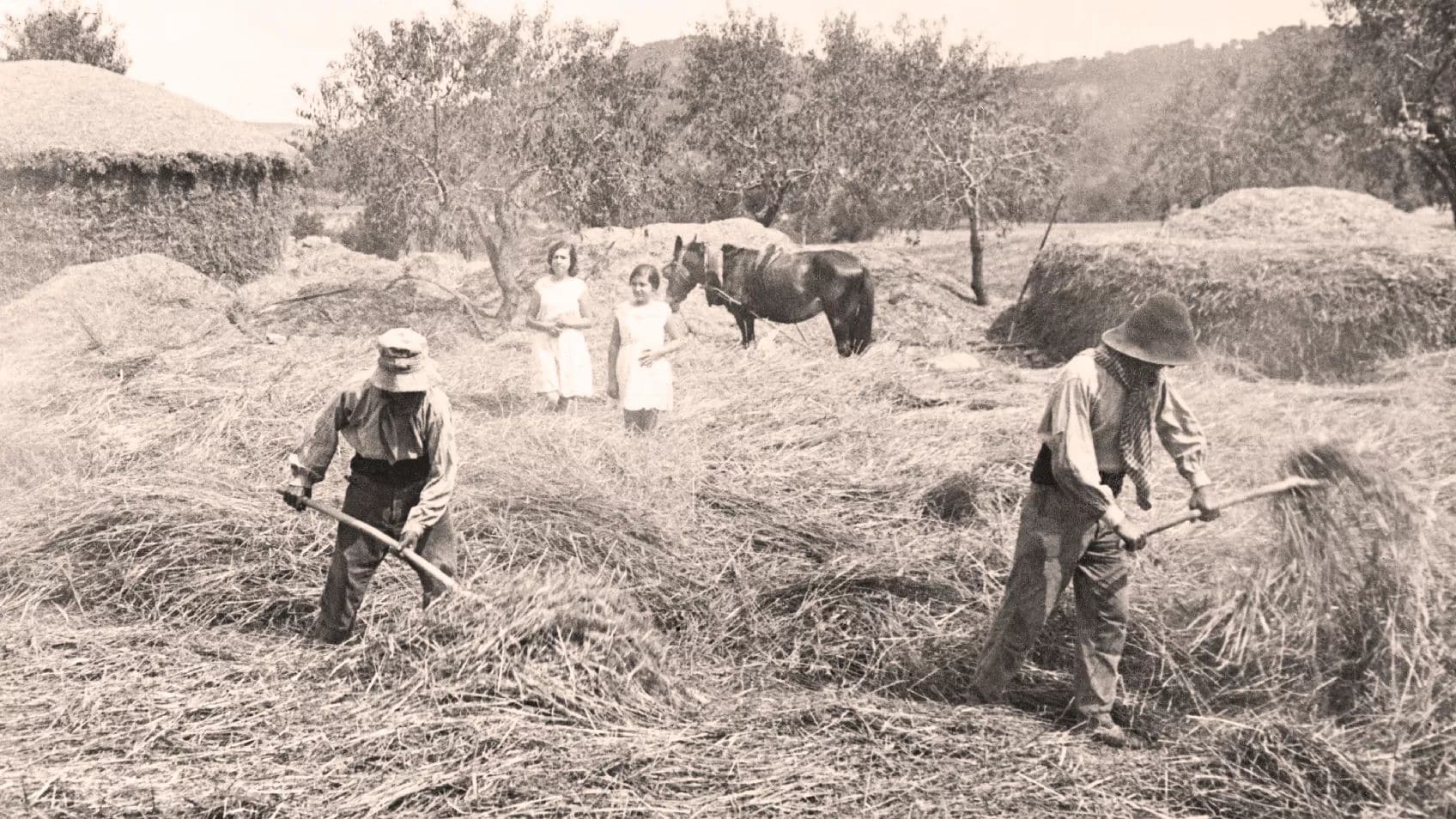 Researching Hudson Valley Palatine Tenant Farmers: Overlooked Resources