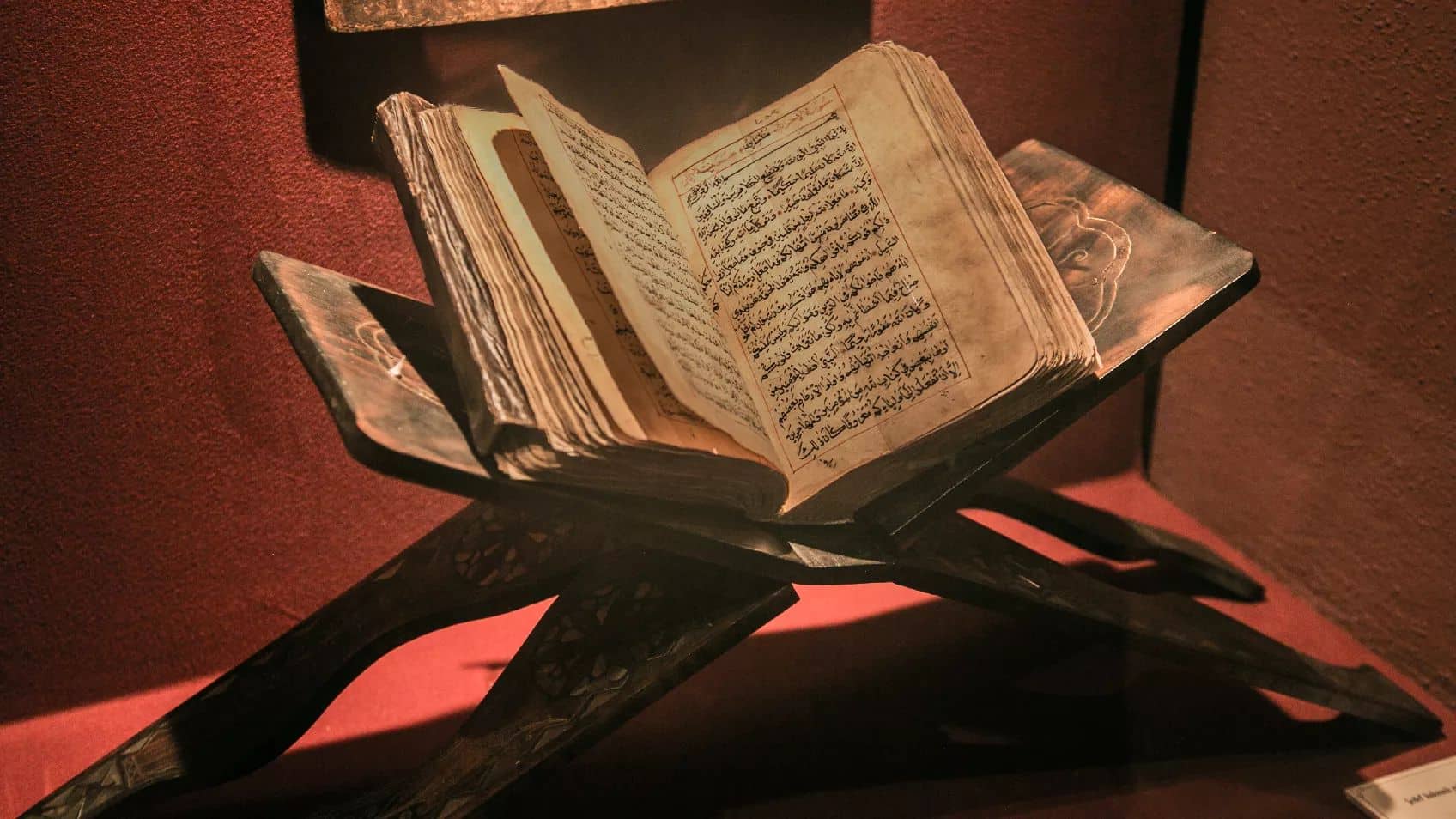 Bringing Life to Our Ancestors: Manuscript Collections