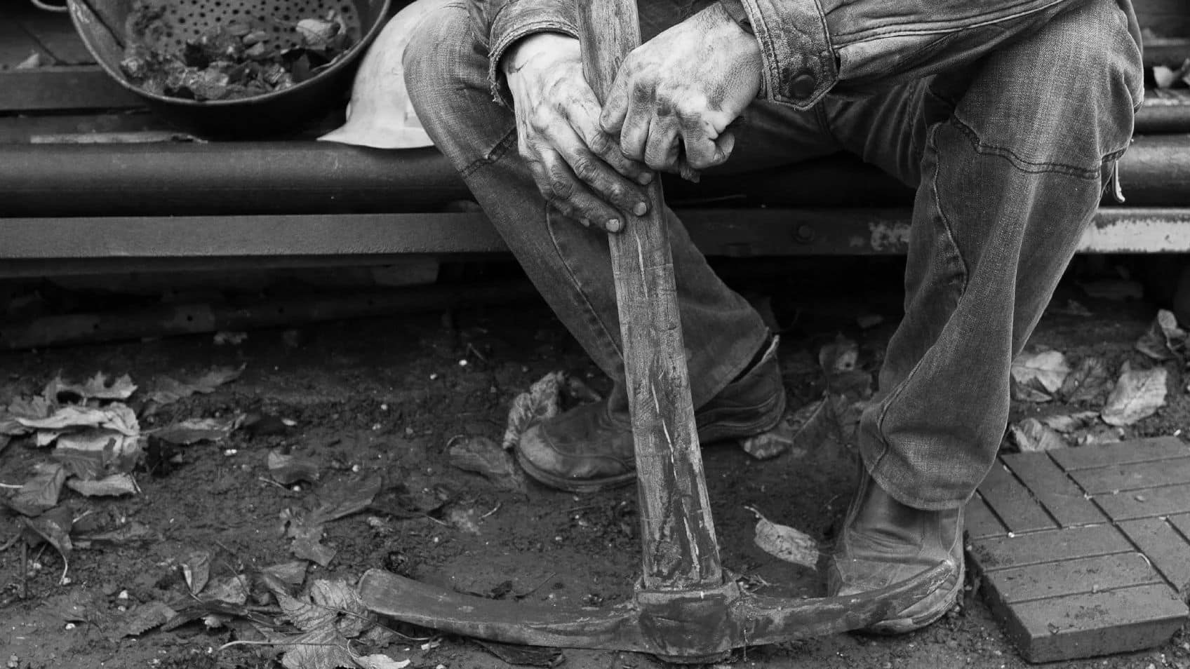 Miners, Cattlemen, Merchants & More: Find Your Colorado Roots