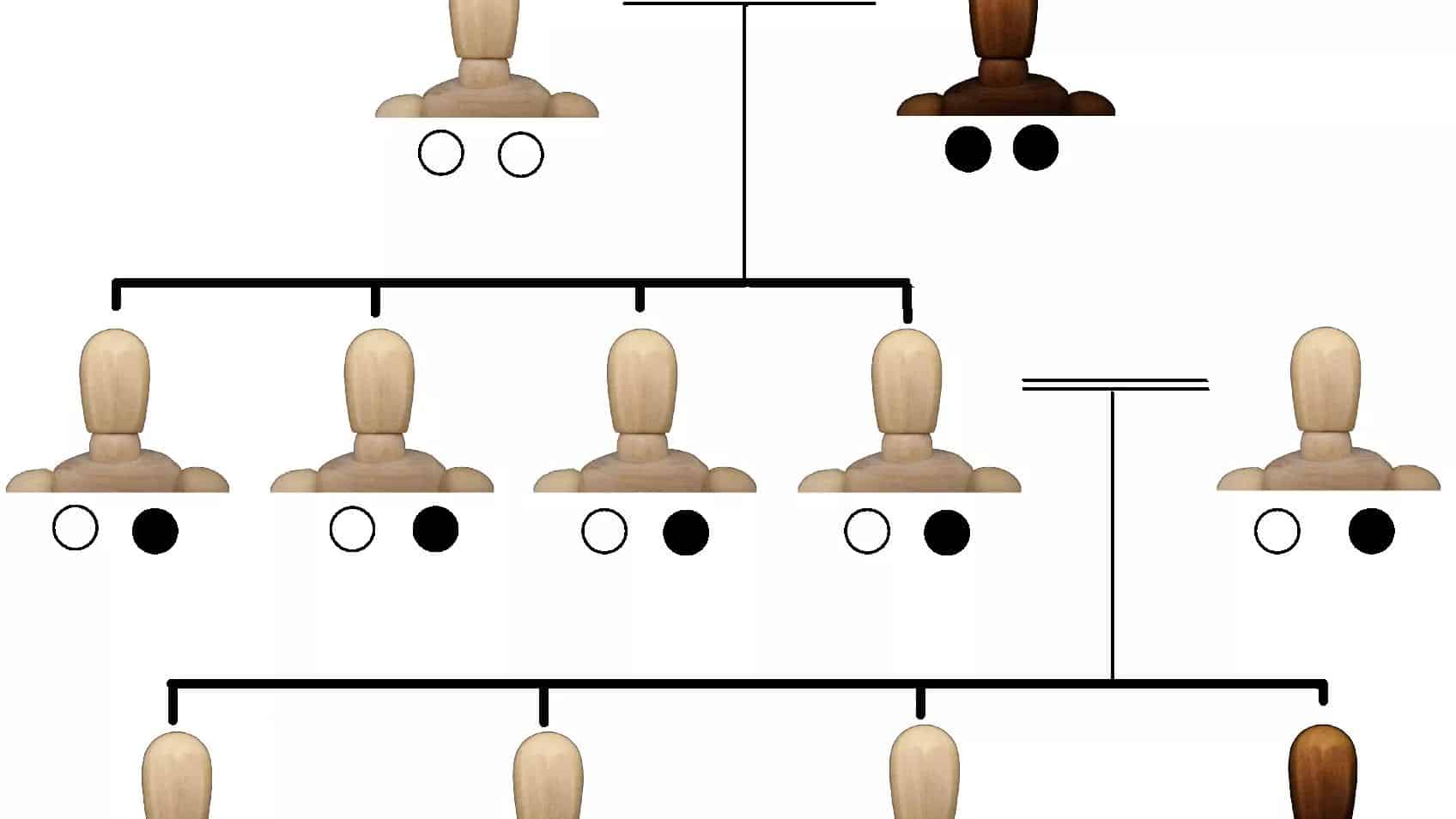 Billions of Records, Billions of Stories