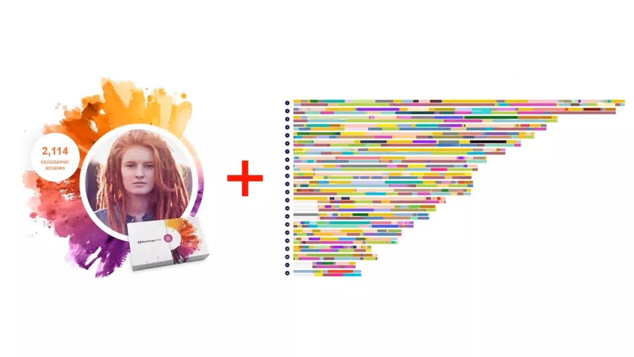 Paint Your Way Up Your Tree with MyHeritage and DNAPainter