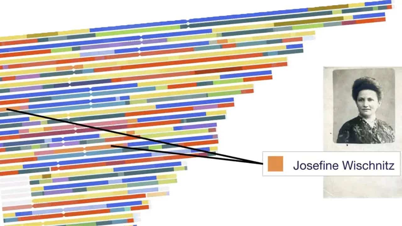 Beginning with DNA Painter