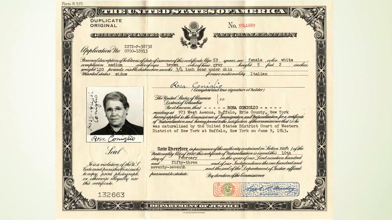 The U.S. Naturalization Process 1790-1954