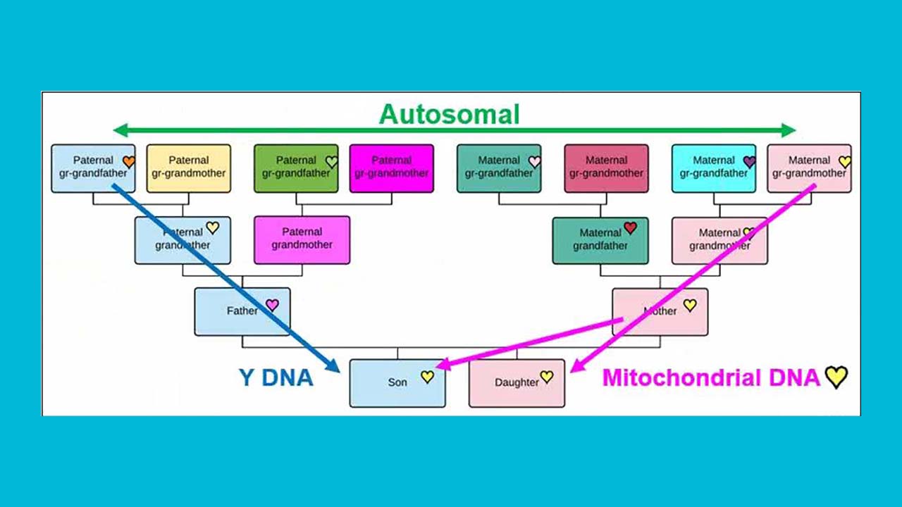DNA Academy 1 - Pulling It All Together