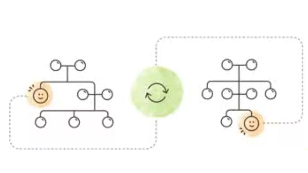 Conseils pratiques pour examiner les Smart Matches™ et les Record Matches