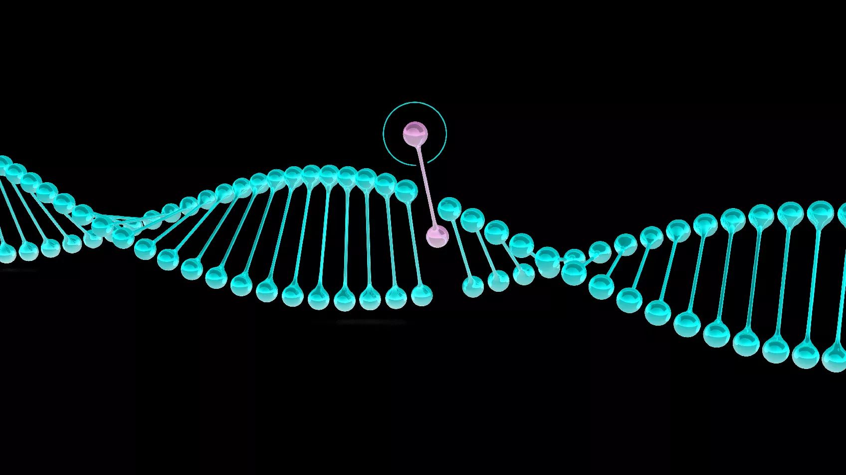 Using GenomeMate Pro & Other Tools