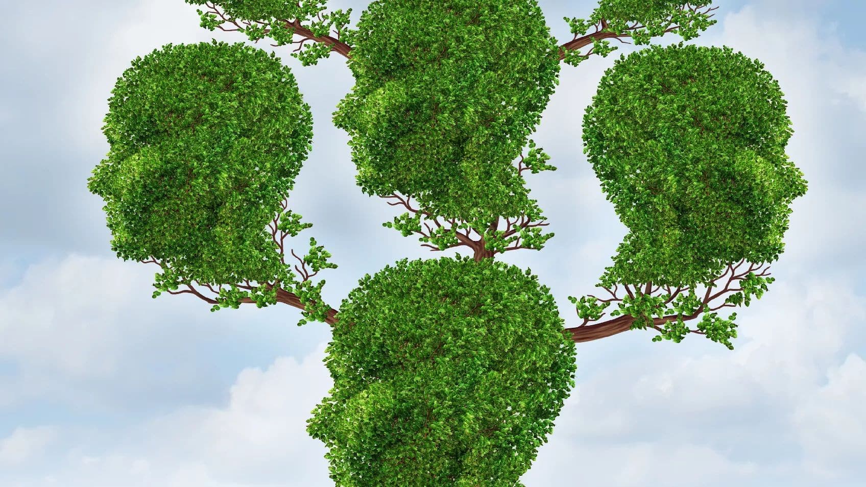 What's New in Legacy Family Tree 9