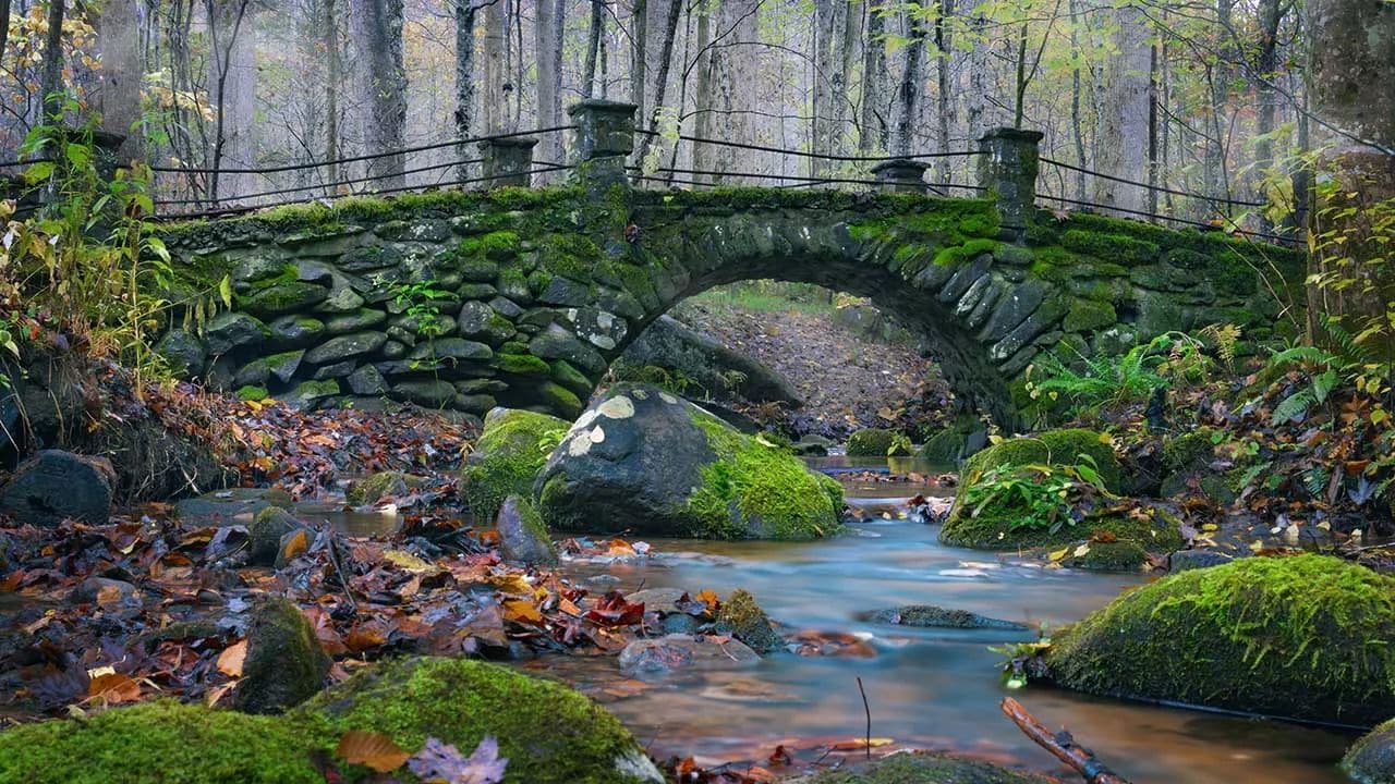 They Drew A Crooked Line and Formed a Border