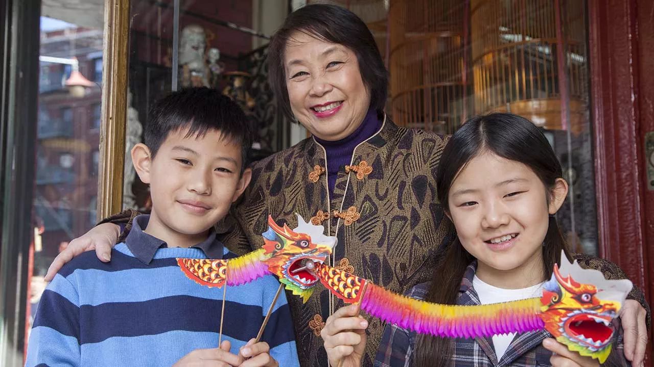 Chinese American Research: Challenges and Discoveries