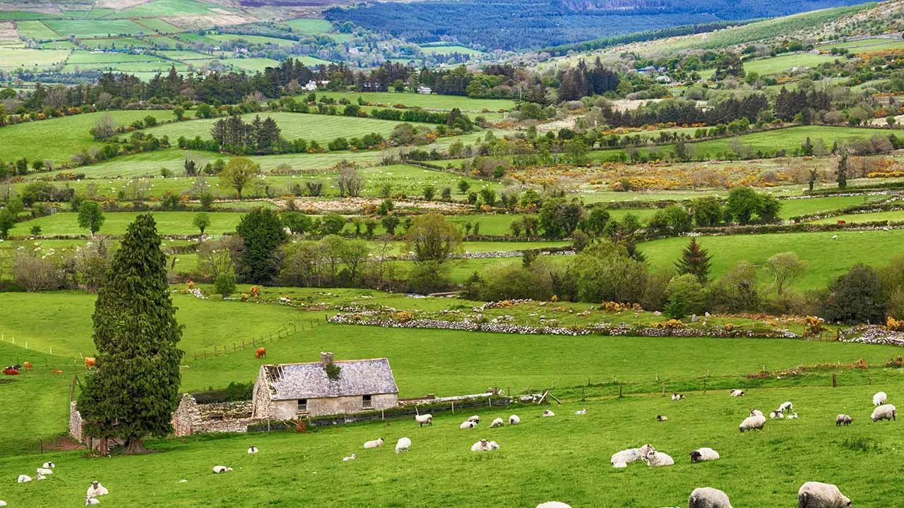 Townlands, Parishes and Baronies - understanding land administrative divisions in Ireland