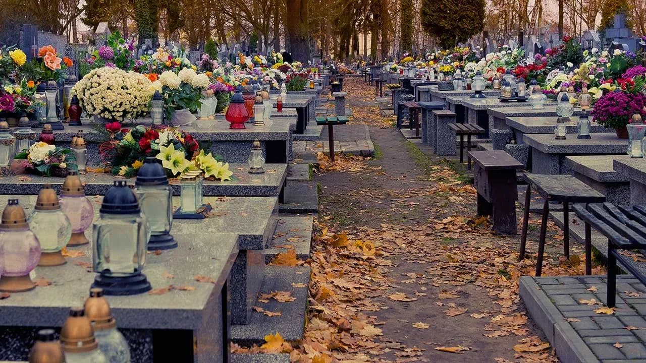 Polish cemeteries online