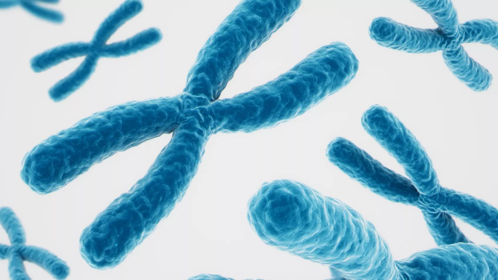 Evaluating Shared DNA