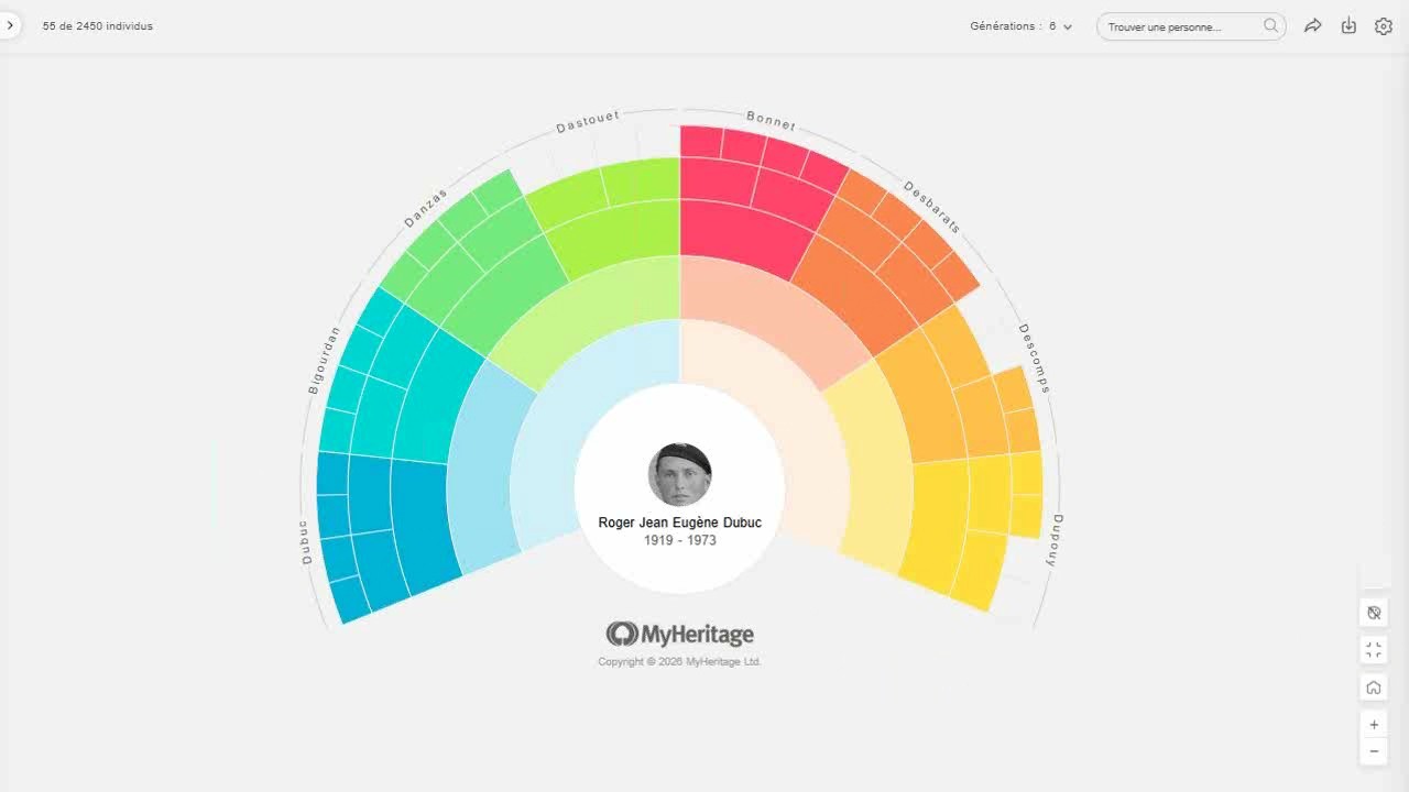 Mieux naviguer dans son arbre MyHeritage : Vues, réglages et astuces d'affichage
