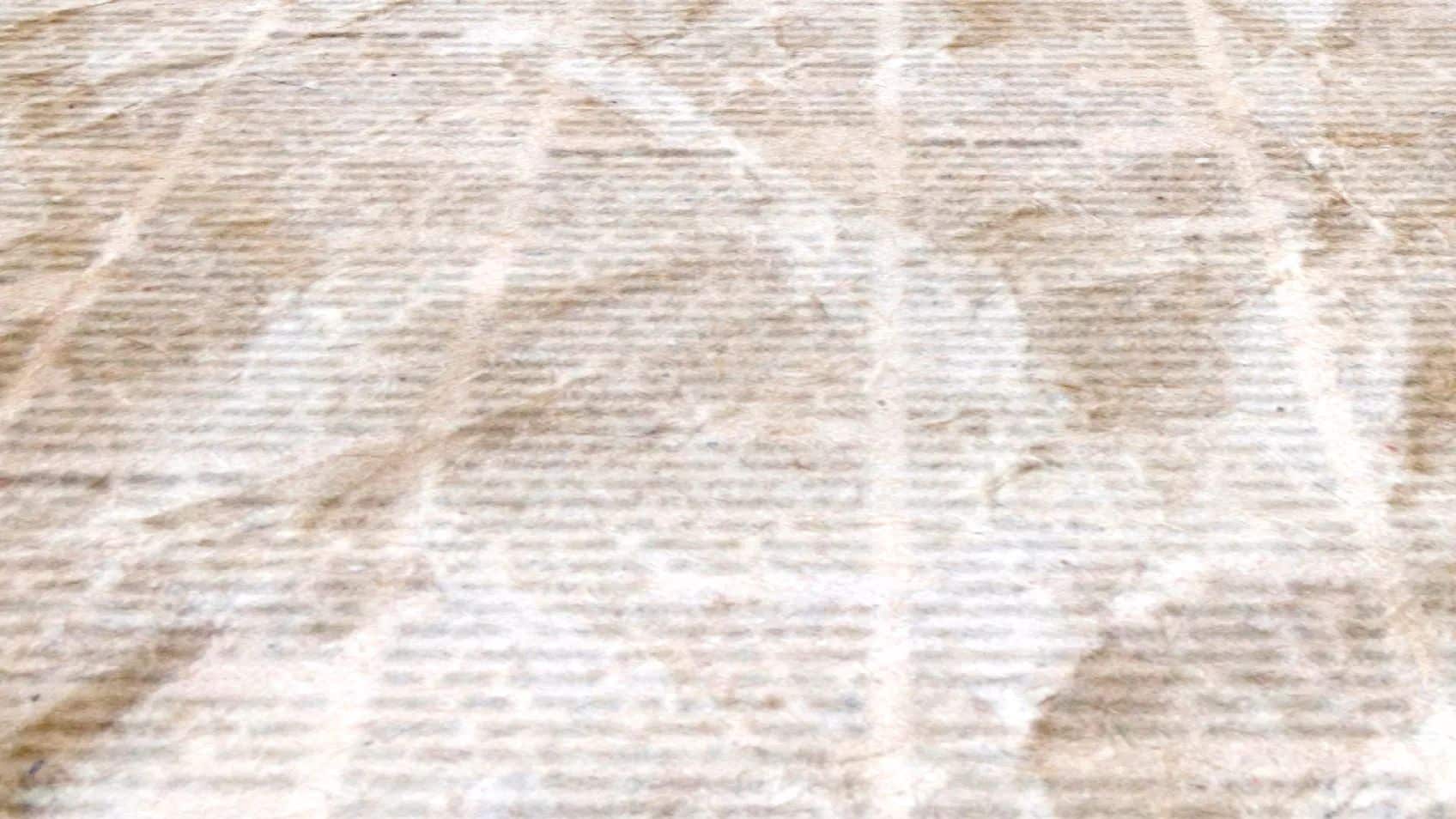 Family Stories: Using Newspapers to Reconnect with the Stories of Your Family's Past