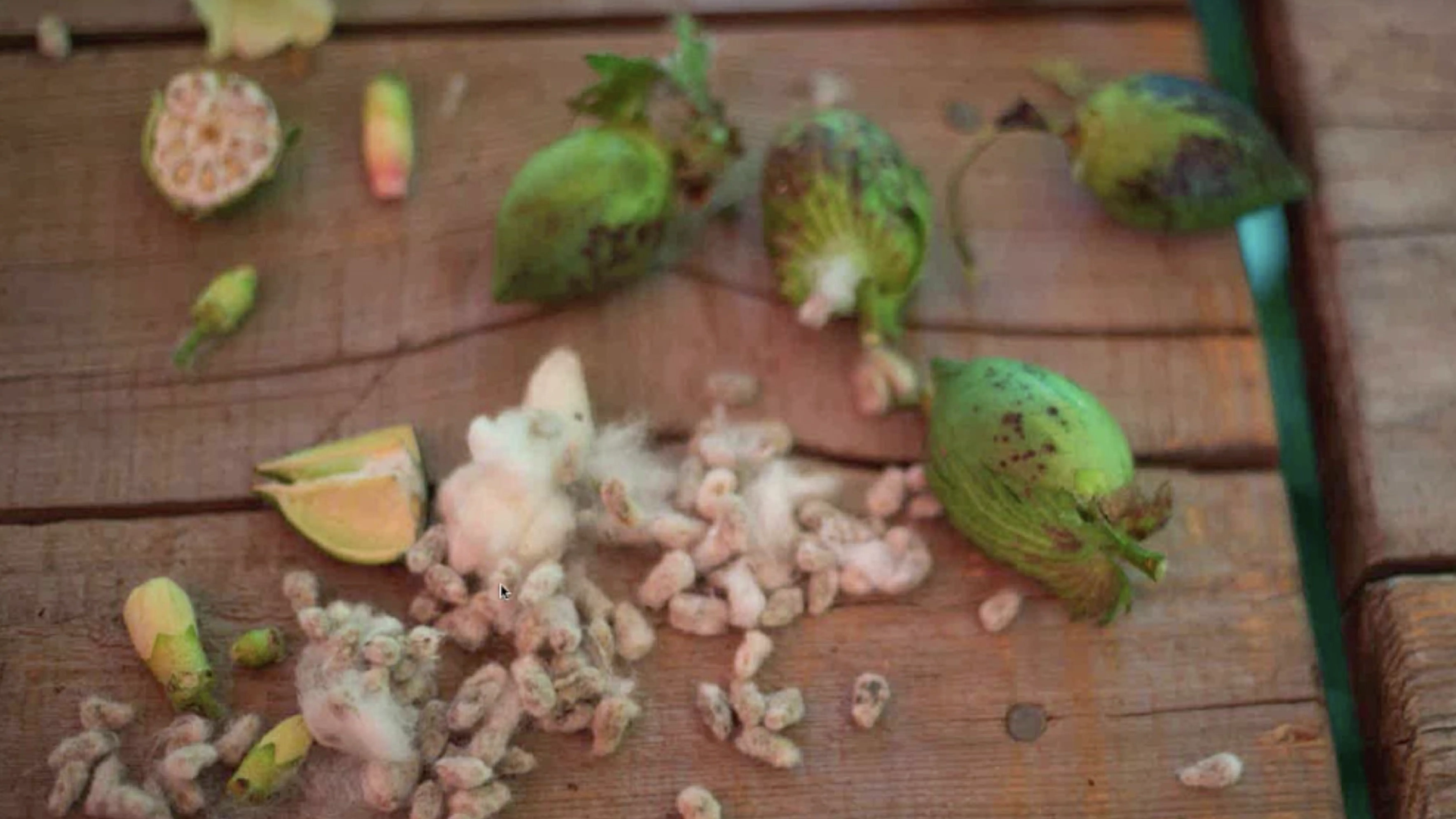 Full Circle: Tracing the Descendants of a Slaveholding Ancestor