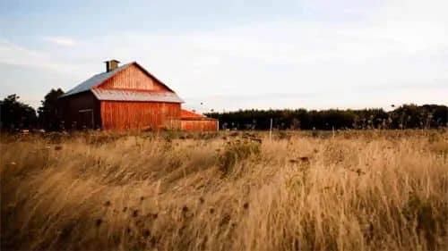 Which Hans Jensen is Mine? Navigating Patronymics in Scandinavian Research