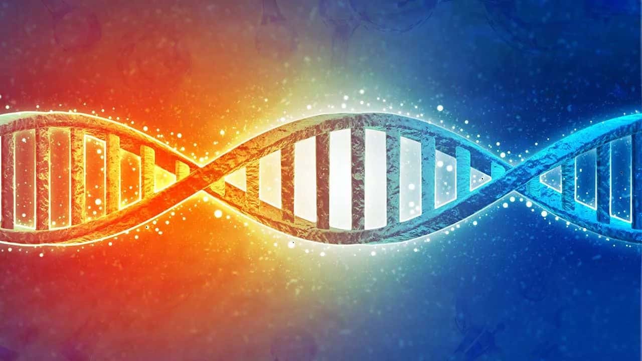 How to share access to AncestryDNA test results