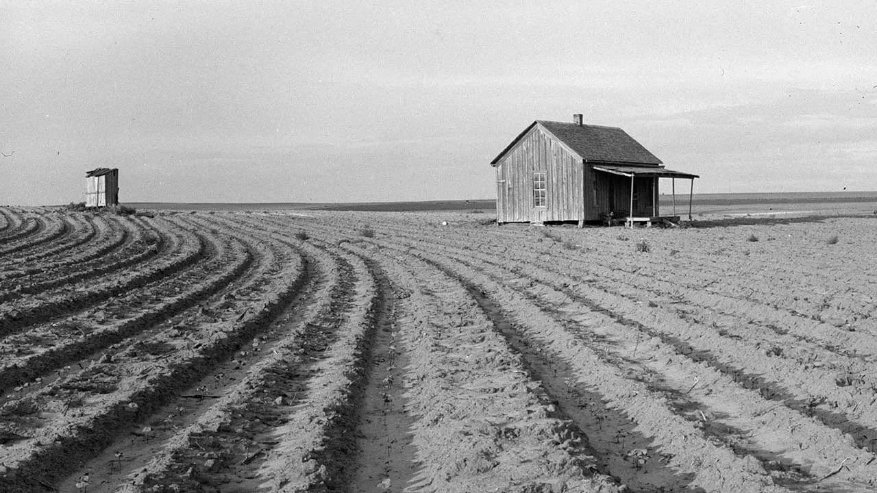 Fruit of the Earth: Using Deeds to Uncover Your Ancestors