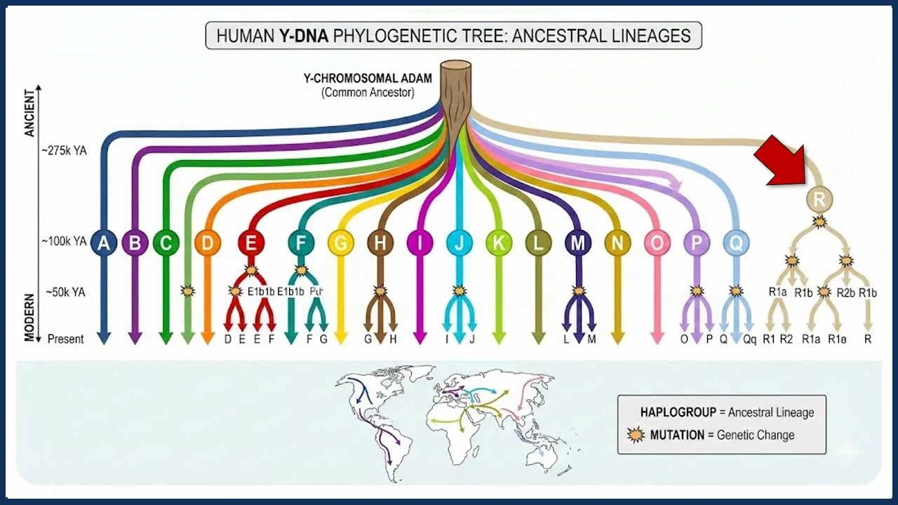 Advanced Topics in DNA 1 of 5: Advanced Y-DNA Evidence