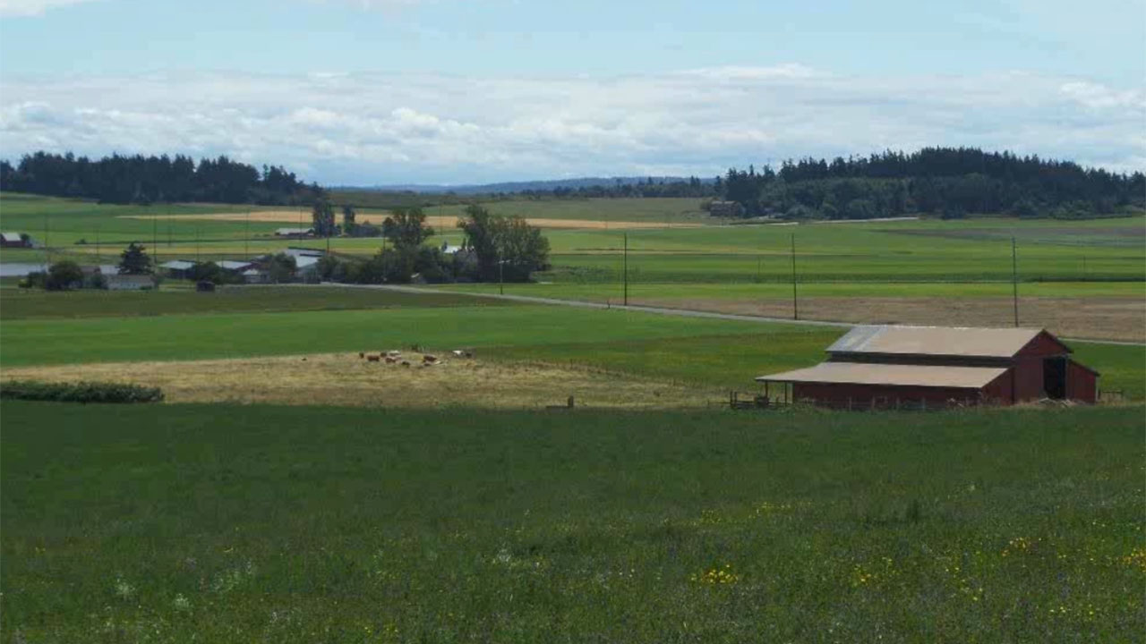 Using Homestead Records to Tell Your Ancestor’s Story