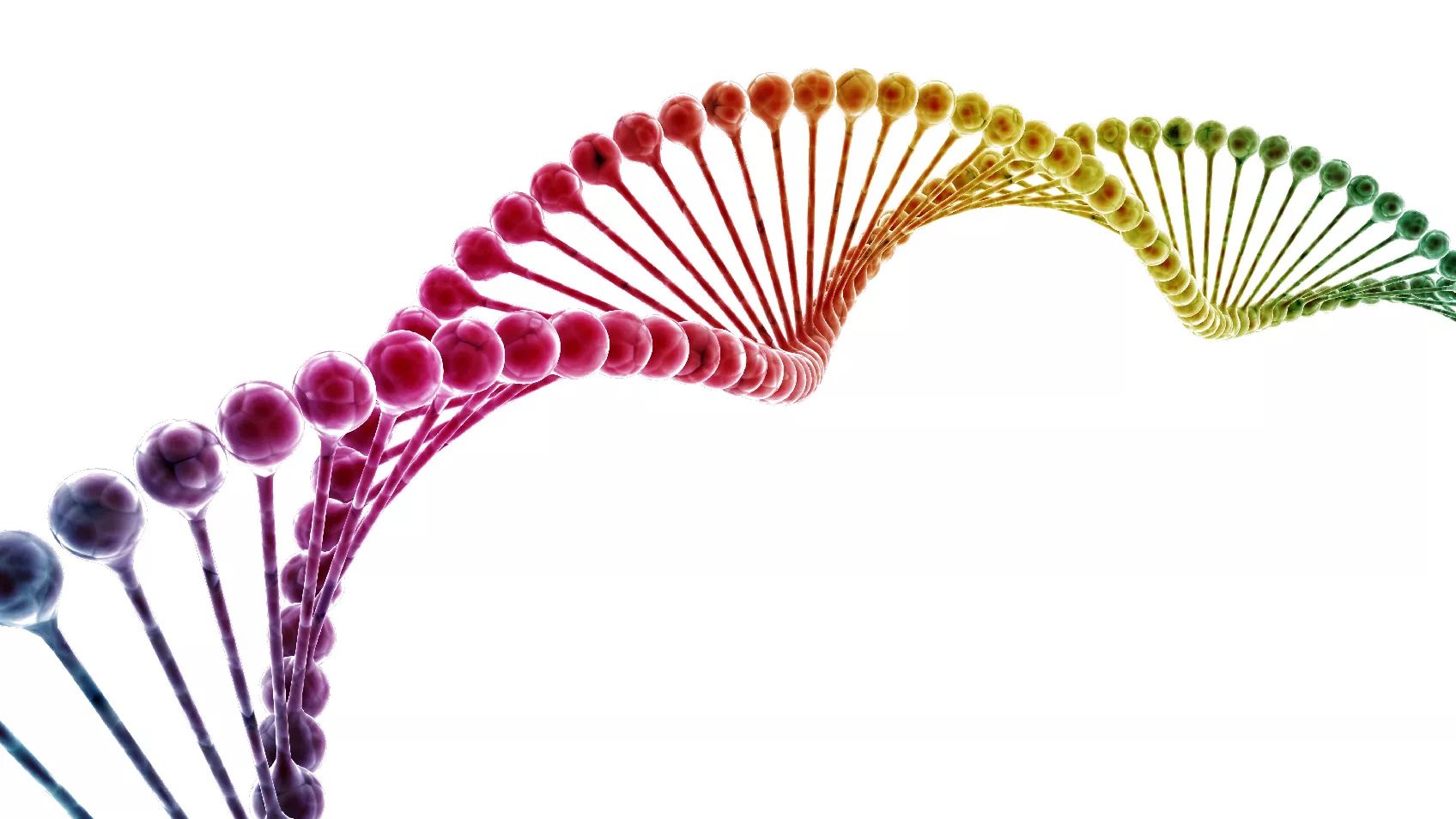 Using DNA to Answer Real Research Questions: Three Case Studies