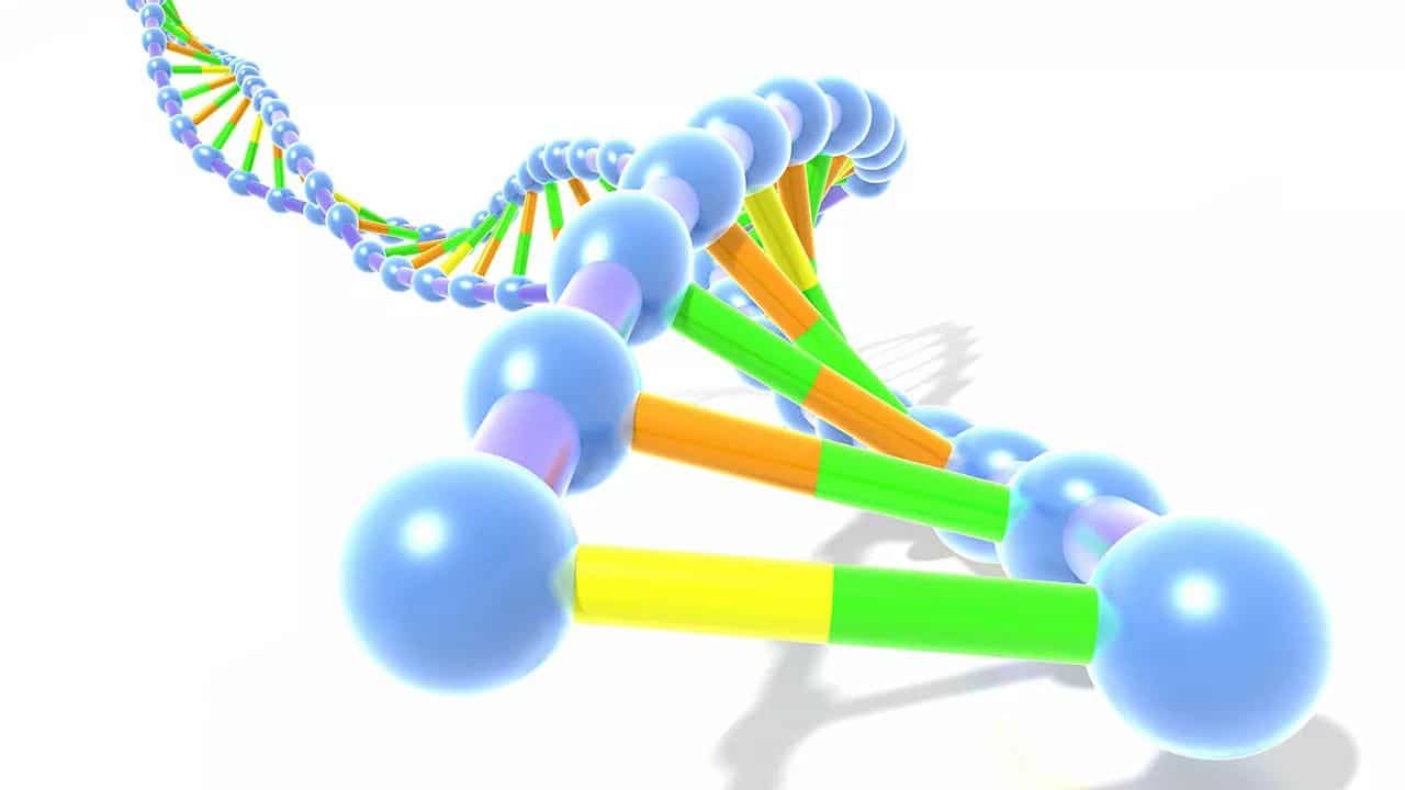 What are the Odds? Finding Answers Using DNA Painter’s WATO Tool