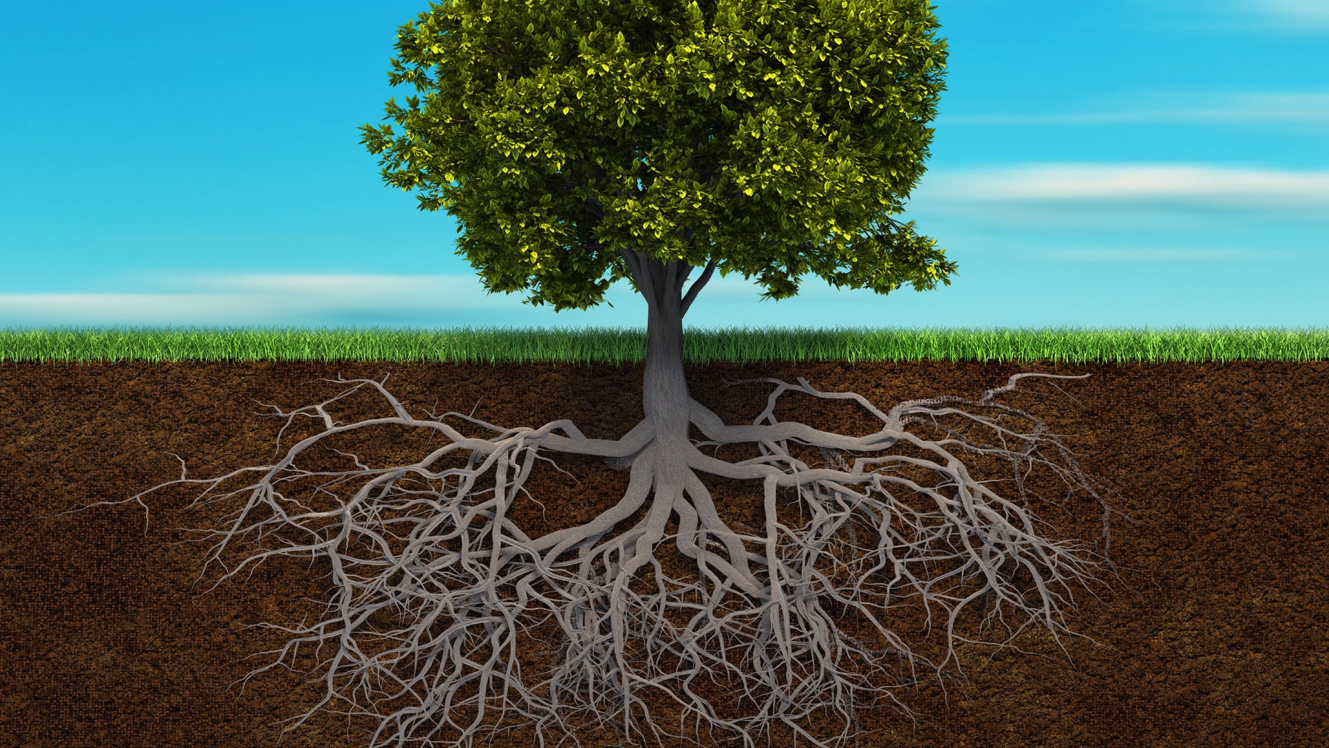 Keeping Up with the Smiths and Joneses