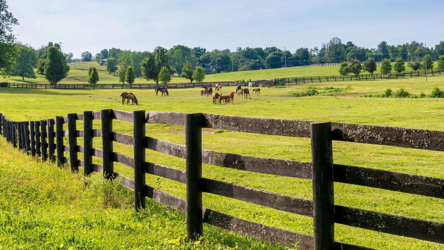 Finding Kentucky Land: Grants, Deeds and the Missing Pieces