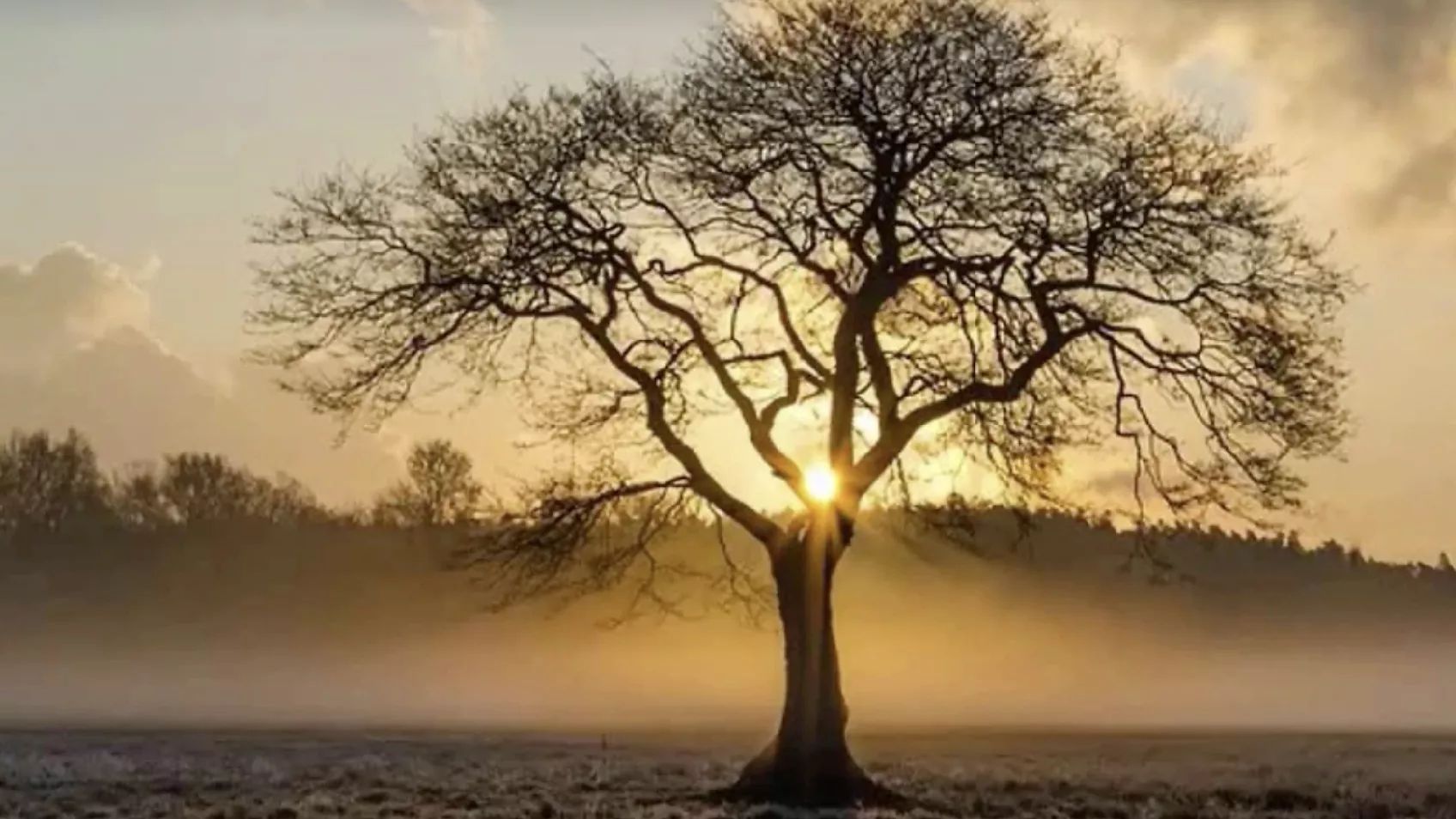 Genealogical Proof for the Novice Genealogist